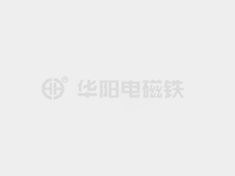 男人插进女人的鸡巴的网站防爆电磁铁的储存和维护较佳实践！